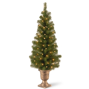 National Tree Company 4' Montclair Spruce Entrance Tree in 10
