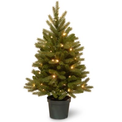 National Tree Company National Tree 3' Jersey Fraser Fir Tree with Battery-Operated Warm White LED Lights