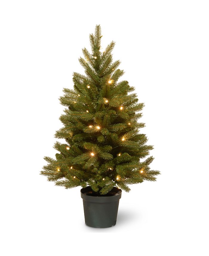 National tree shop company fraser fir