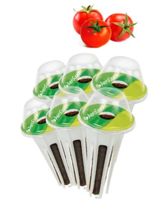 AeroGarden - Cherry Tomato 6-Pod Seed Kit
