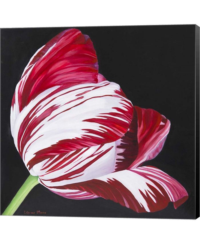 Metaverse Broken Tulip By Lily Van Bienen Canvas Art & Reviews - All ...