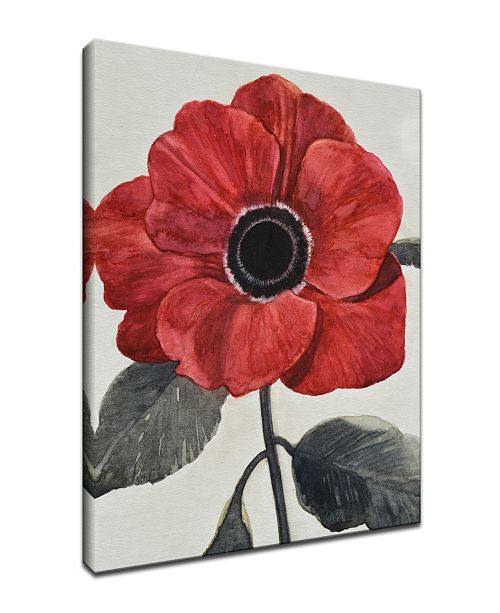 Ready2hangart Elegant Poppy I Red Floral Canvas Wall Art 30x20 Reviews Wall Art Macy S