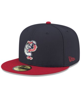 pawsox fitted hat