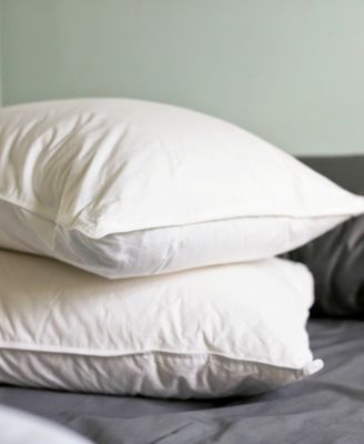 Charisma - Luxe Down Filled Compartment 2-Pack of Standard Pillows, Firm