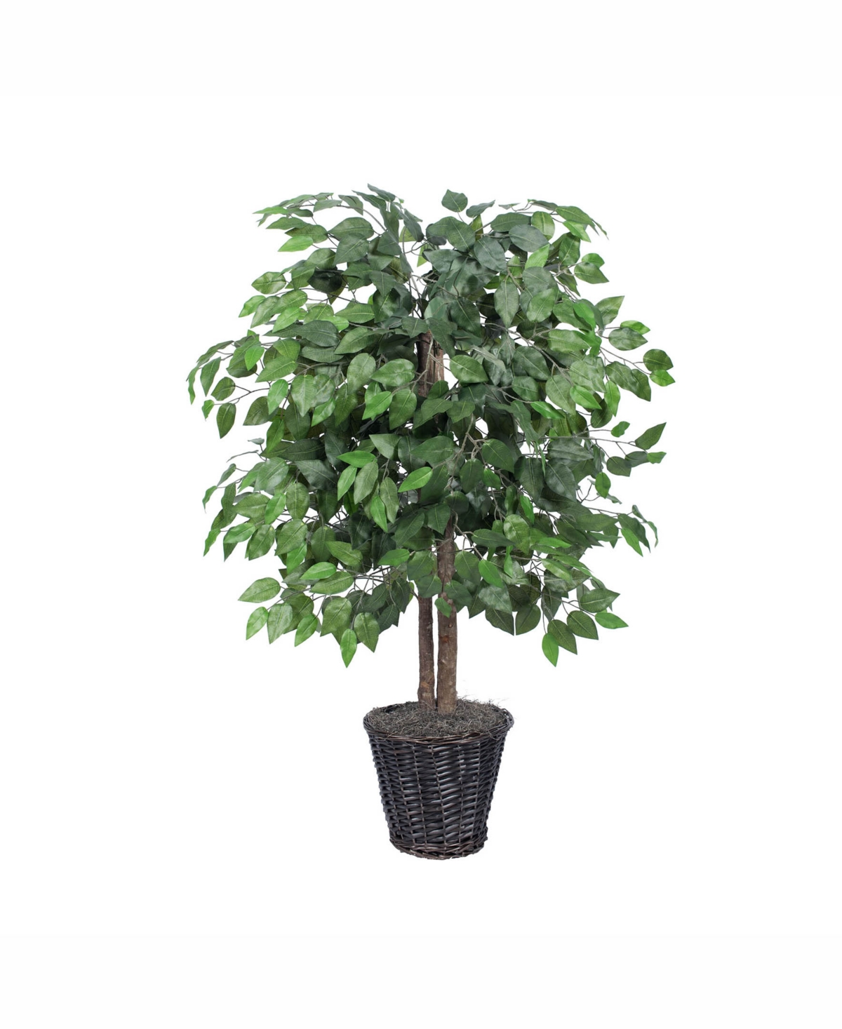 Vickerman 4' Artificial Ficus Bush, Made With Real Tag Alder Trunks In No Color