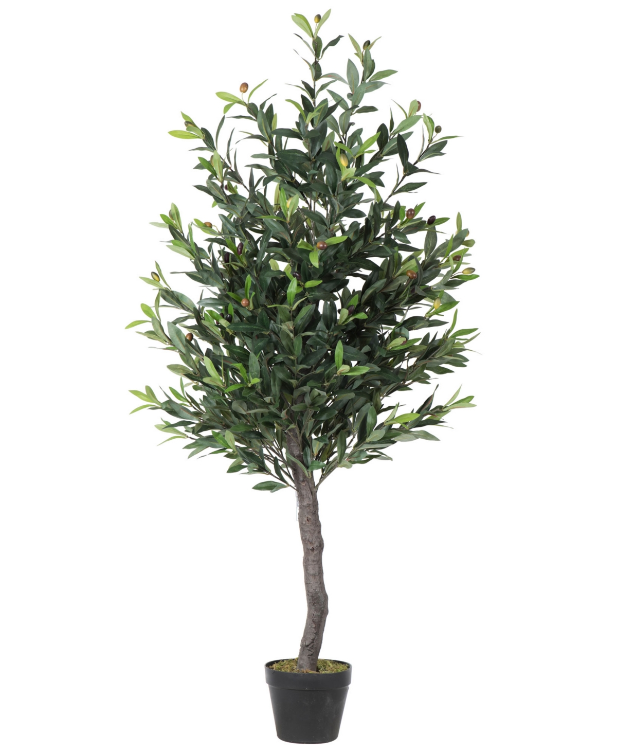 Vickerman 50" Artificial Potted Olive Tree In No Color