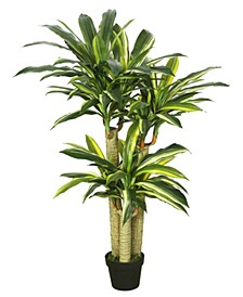 52" Artificial Green And Yellow Real Touch Dracaena Tree