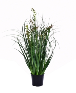 Vickerman 24