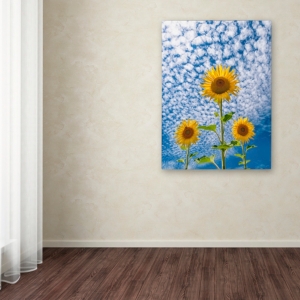 Trademark Global Michael Blanchette Photography 'sunflower Triad' Canvas Art, 14" X 19" In Open Misce