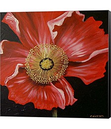 Red Poppy by Cherie Roe Dirksen Canvas Art