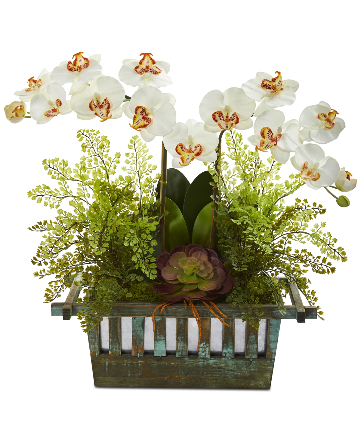 Orchid, Succulent & Maidenhair Fern Artificial Arrangement - Cream