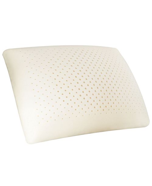 Carpenter Co Comfort Tech Serene Foam Standard Traditional Pillow