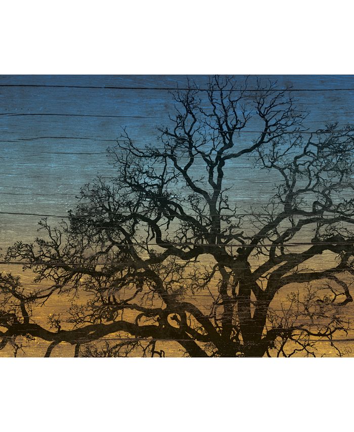 Creative Gallery - 