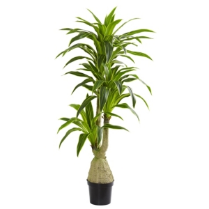 Nearly Natural Dracaena Artificial Plant In Green