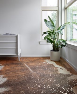 Loloi II Bryce BZ-10 3'10" x 5' Area Rug