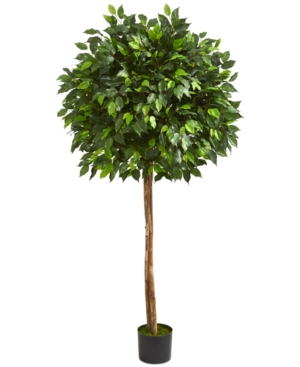 Nearly Natural 5.5' Ficus Artificial Tree In Green