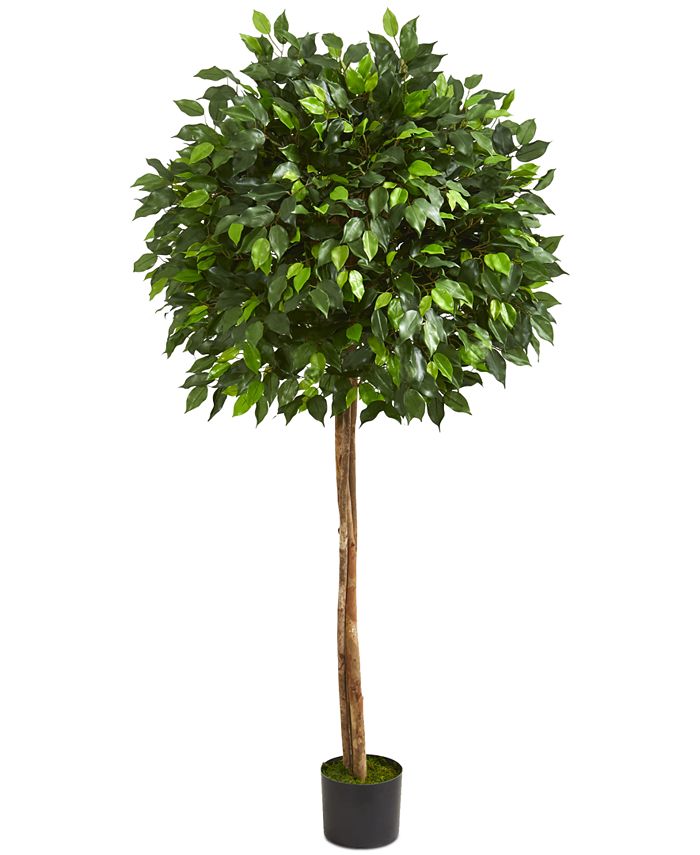 Nearly Natural 5.5' Ficus Artificial Tree & Reviews Artificial Plants