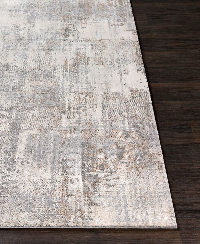 Surya - Alpine ALP-2304 Light Gray 2' x 3' Area Rug