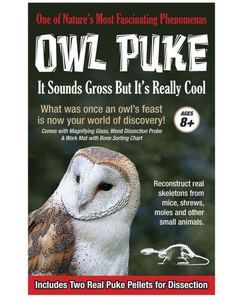 Детские игрушки Areyougame Owl Puke Owl Pellet Skeleton Reconstruction Science Kit, Ages 8+