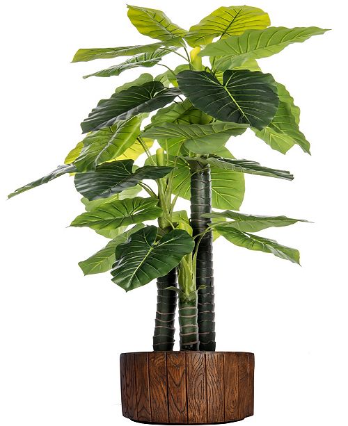 Laura Ashley 76 8 Tall Indoor Outdoor Elephant Ear Plant