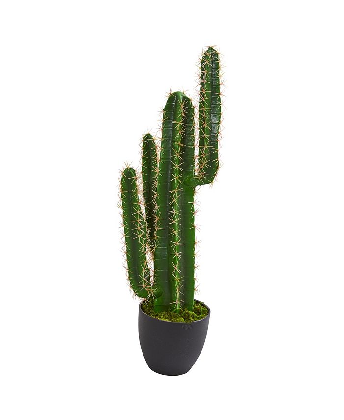 Nearly Natural 3' Cactus Artificial Plant & Reviews Artificial Plants