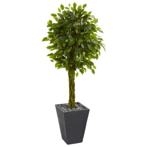 Nearly Natural 5' Braided Ficus Artificial Tree In Slate Planter Uv Resistant In Green