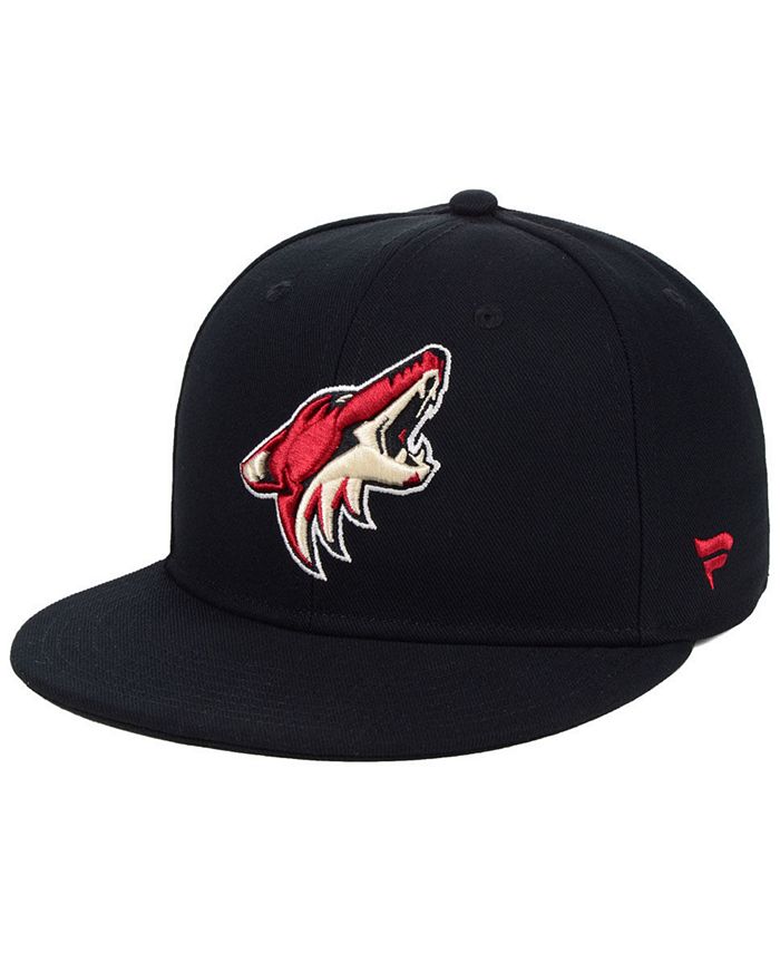 Arizona coyotes fitted hat online