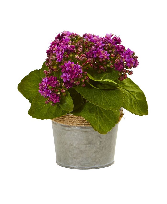 Nearly Natural Kalanchoe Artificial Arrangements, Set of 3 - Macy's