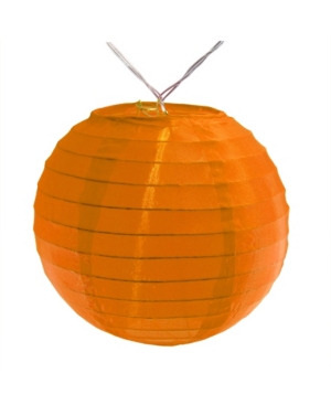 Lumabase Set of 10- 6