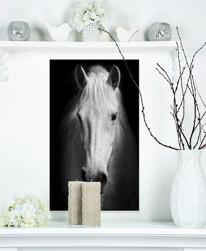 Design Art Designart White Horse Black And White Animal Canvas Art