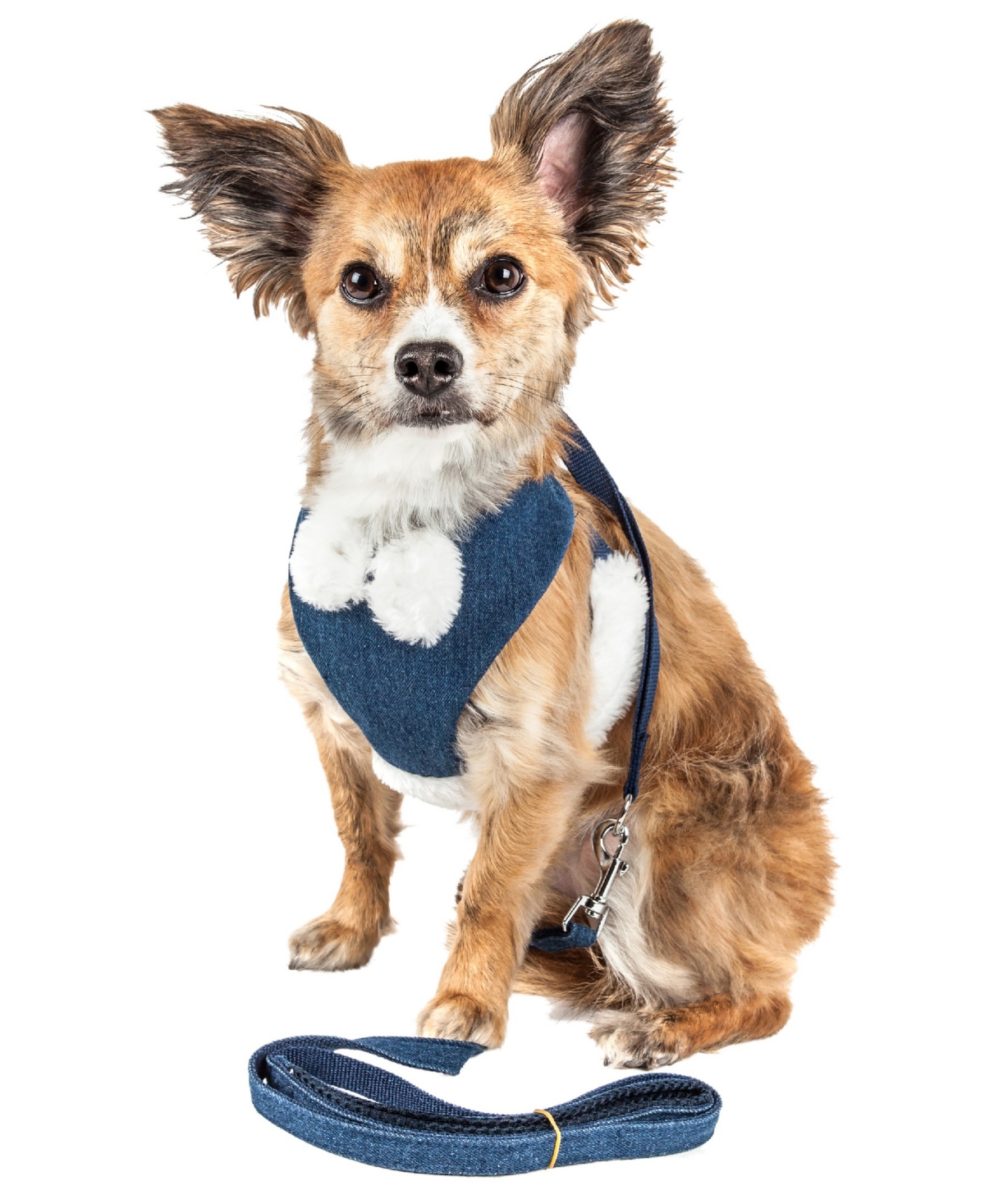 Luxe 'Pom Draper' 2-in-1 Adjustable Dog Harness Leash with Pom-Pom Bowtie - Blue