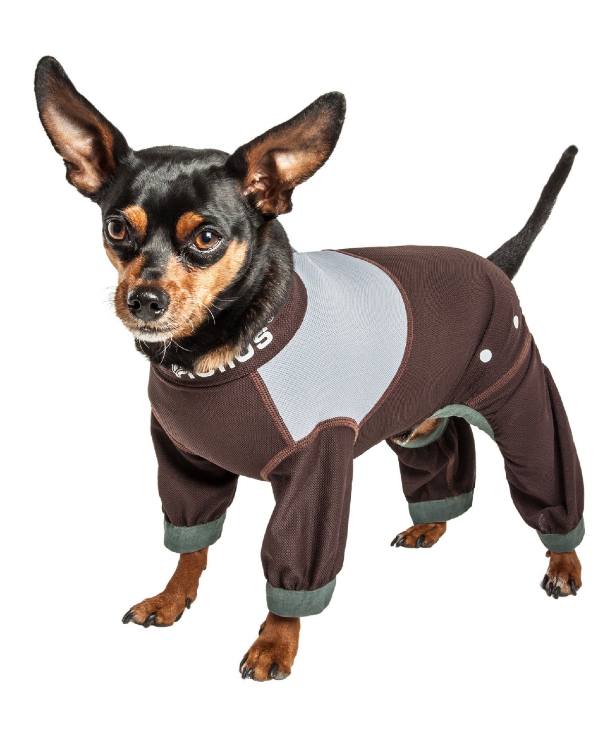 'Tail Runner' Lightweight Full Body Performance Dog Track Suit - Gray