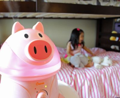 pig humidifier