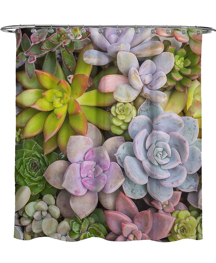 Avanti Succulents Shower Curtain Macy's