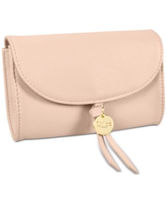 chloe pouch bag