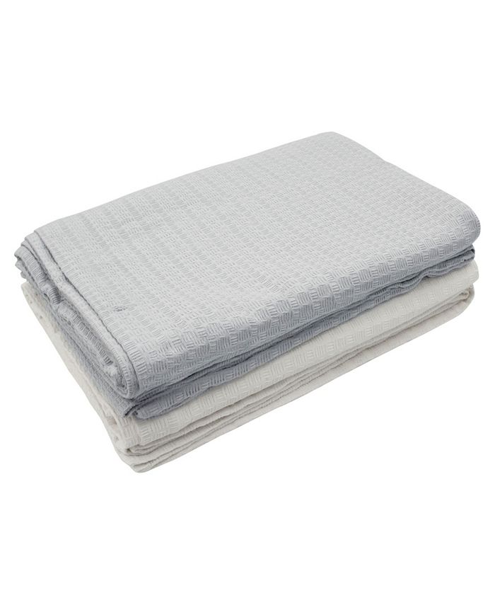 French Connection Percy Cotton Shower Curtain Macy's