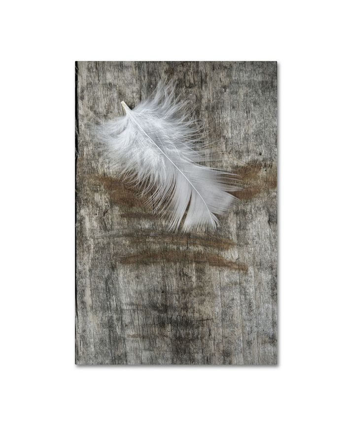 Trademark Global Cora Niele 'White Feather on Wood' Canvas Art - 19