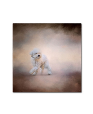Trademark Global Jai Johnson 'bichon On The Go' Canvas Art In Multi