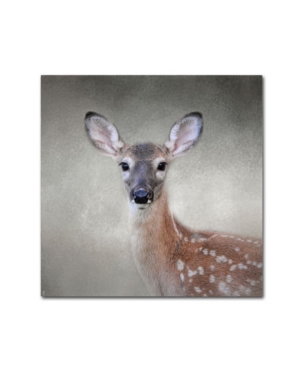 Trademark Global Jai Johnson 'little Miss Lashes White Tailed Fawn' Canvas Art In Multi