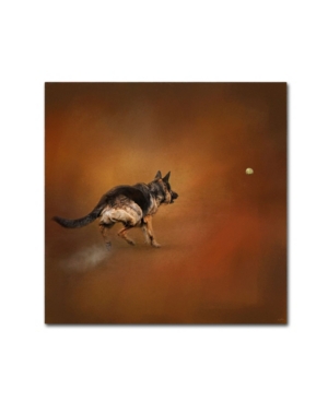 Trademark Global Jai Johnson 'gimme That Ball German Shepherd' Canvas Art In Multi