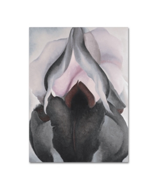 Trademark Global Georgia O'keefe 'black Iris' Canvas Art In Multi