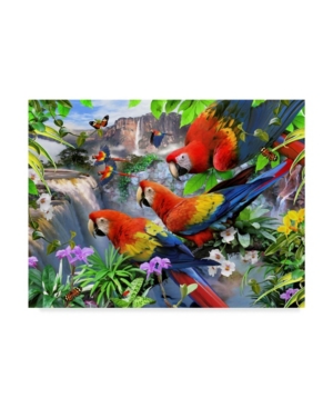 Trademark Global Howard Robinson 'parrots' Canvas Art In Multi