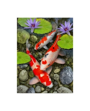 Trademark Global Howard Robinson 'koi Under Lily Pads' Canvas Art In Multi
