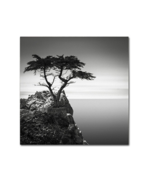 Trademark Global Dave Macvicar 'the Lone Cypress' Canvas Art In Multi