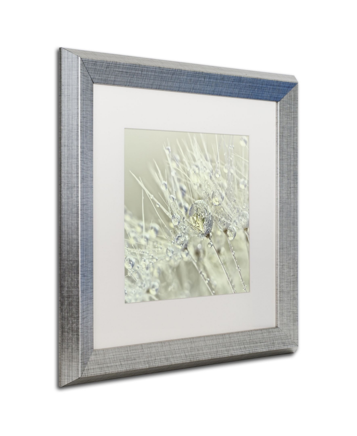 Cora Niele 'Dandelion Dew Iii' Matted Framed Art - 0.5