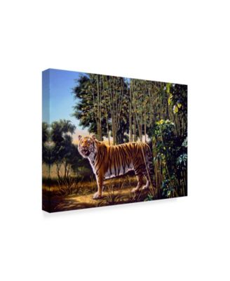 Trademark Global D. Rusty Rust 'Hidden Tiger' Canvas Art - 24" x 18" x 2"