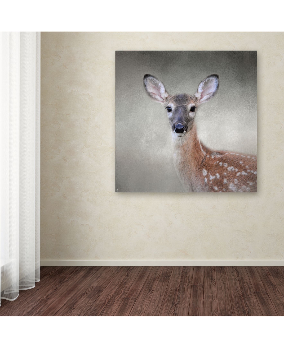 Jai Johnson 'Little Miss Lashes White Tailed Fawn' Canvas Art - 2