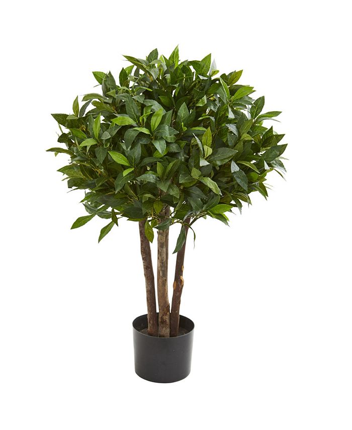 Nearly Natural 37” Bay Leaf Topiary Artificial Tree & Reviews