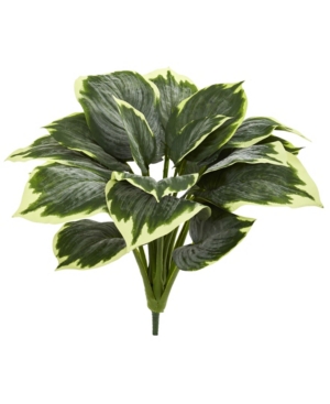 Nearly Natural Variegated Hosta Artificial Plant (set Of 6) In Green