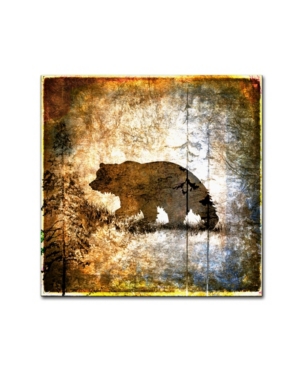 Trademark Global Lightbox Journal 'high Country Bear' Canvas Art In Multi